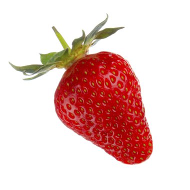 yabani çilek yakın çekim 