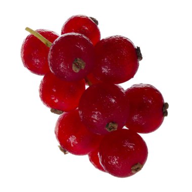 kuş üzümü berry yakın