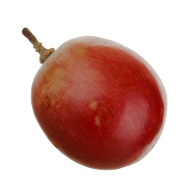 Olgun üzüm yakın çekim 