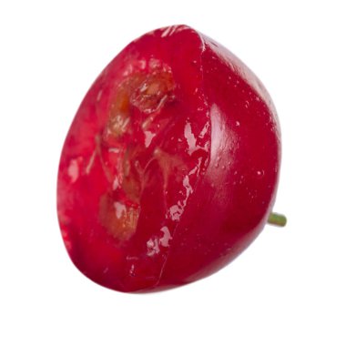 kuş üzümü berry yakın