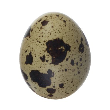 yumurta yakın çekim 