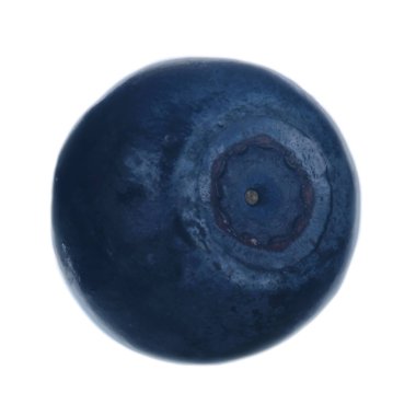 beyaz arka plan üzerinde izole olgun siyah bilberry 