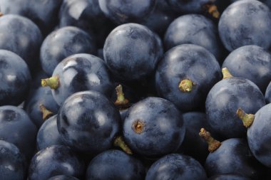 Olgun üzüm yakın çekim 