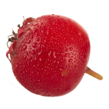 Beyaz arka planda izole alıç berry, yakın çekim 