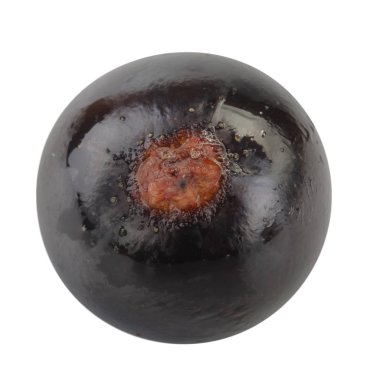 kuş üzümü berry yakın