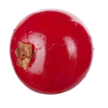 kuş üzümü berry yakın