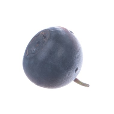 Olgun yaban mersinleri. Kapatın. 