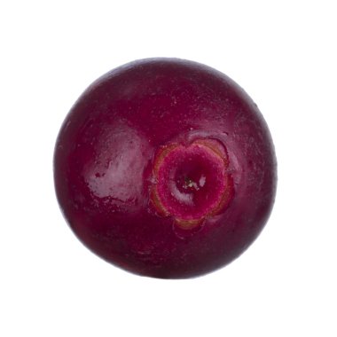 olgun bearberry yakın 