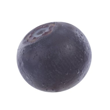 Olgun yaban mersinleri. Kapatın. 