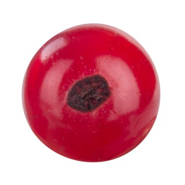 kuş üzümü berry yakın