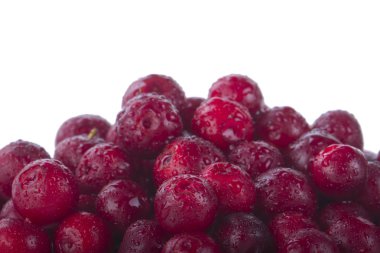 olgun bearberry yakın 