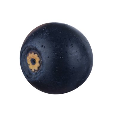 beyaz arka plan üzerinde izole olgun siyah bilberry 