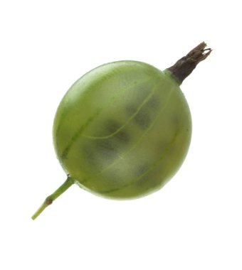 Olgun bektaşi üzümü yakın çekim