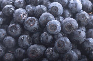 Olgun yaban mersinleri. Kapatın. 