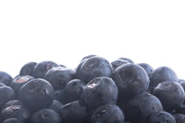 Olgun yaban mersinleri. Kapatın. 