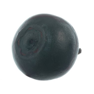 Olgun yaban mersinleri. Kapatın. 