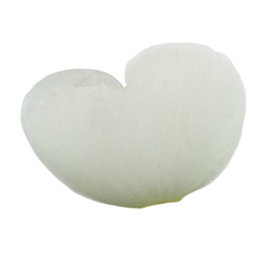 beyaz arka plan üzerinde izole beyaz gül yaprağı, yakın çekim