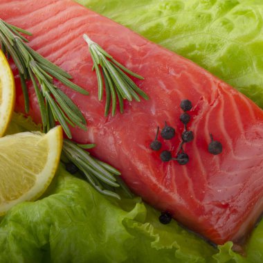 somon balığı yakın çekim 