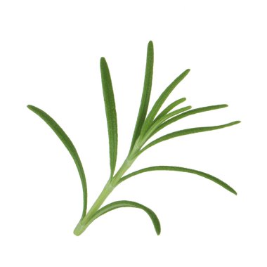 Beyaz arka planda izole biberiye closeup