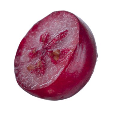 olgun bearberry yakın 