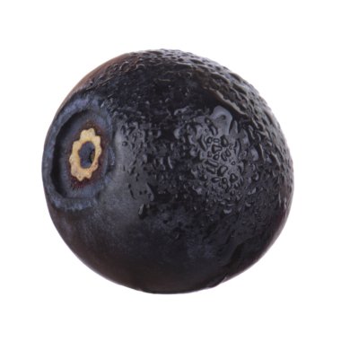 siyah böğürtlen beyaz arka plan üzerinde izole, yakın çekim