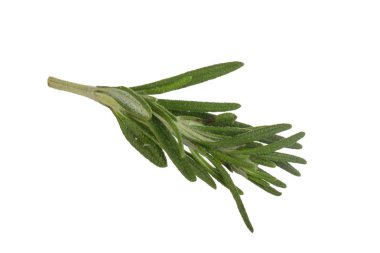 Beyaz arka planda izole biberiye closeup