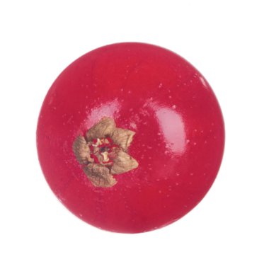 kuş üzümü berry yakın