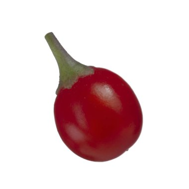 olgun dulcamara yakın