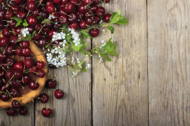 arka planda taze kiraz, yakın