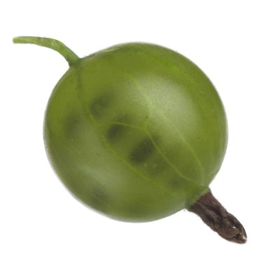 Olgun bektaşi üzümü yakın çekim