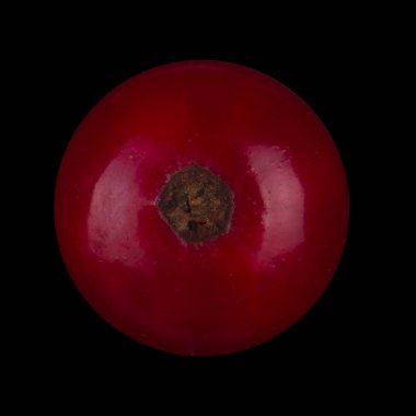 kuş üzümü berry yakın