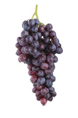 Olgun üzüm yakın çekim 