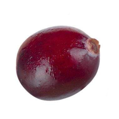 olgun kızılcık yakın 