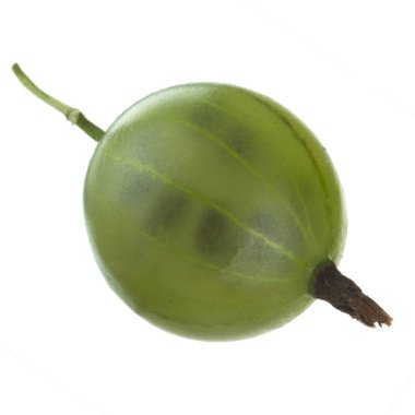 Olgun bektaşi üzümü yakın çekim