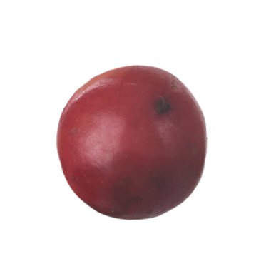 arka planda aromatik bitki, yakın