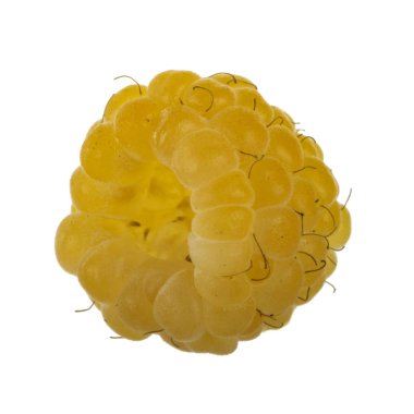 Olgun ahududu yakın çekim 