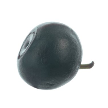 Olgun yaban mersinleri. Kapatın. 