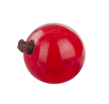 kuş üzümü berry yakın