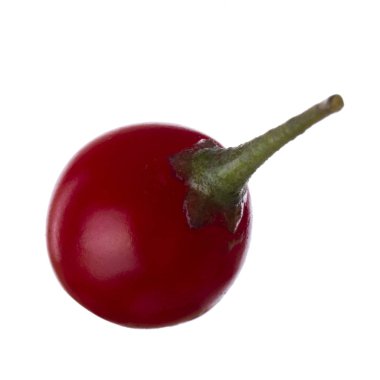 olgun dulcamara yakın