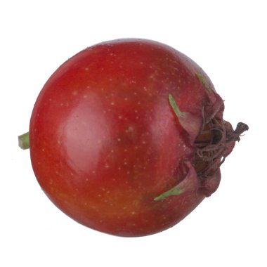 Beyaz arka planda izole alıç berry, yakın çekim 