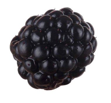 olgun tatlı böğürtlen beyaz arka plan izole, yakın çekim 