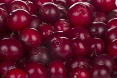 olgun bearberry yakın 