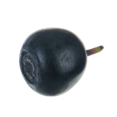 beyaz arka plan üzerinde izole olgun siyah bilberry 