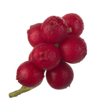 beyaz arka plan üzerinde izole olgun cowberries, yakın çekim  