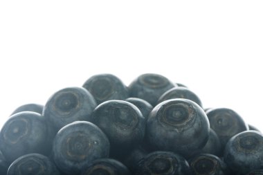 Olgun yaban mersinleri. Kapatın. 