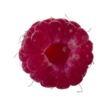 Olgun ahududu yakın çekim 