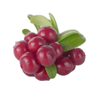 beyaz arka plan üzerinde izole olgun cowberries, yakın çekim  