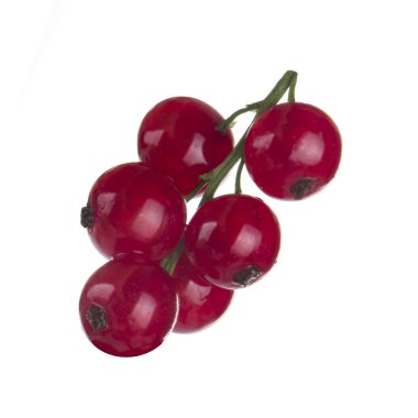 kuş üzümü berry yakın