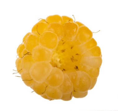 Olgun ahududu yakın çekim 