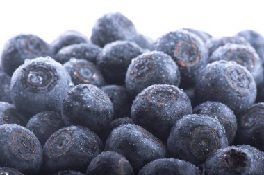 Olgun yaban mersinleri. Kapatın. 